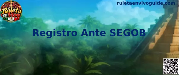 Información sobre Registro Ante SEGOB